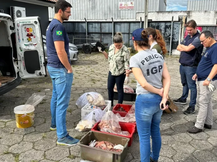 Operação fecha frigorífico clandestino em Palhoça com carnes estragadas