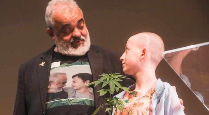 Cannabis medicinal é tema de nova frente parlamentar na Alesc