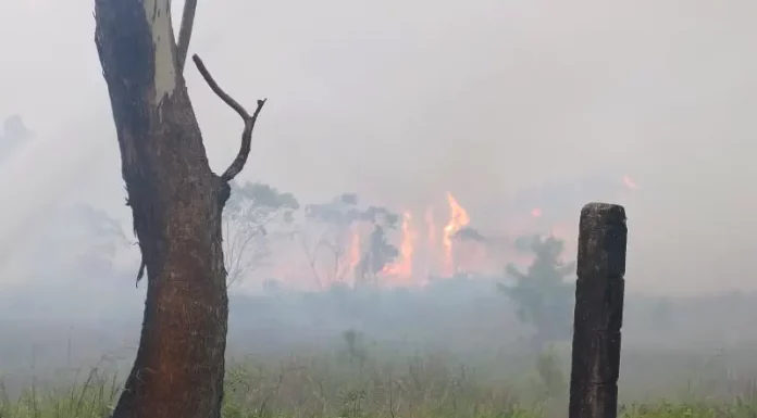 Incêndio no Parque Estadual da Serra do Tabuleiro