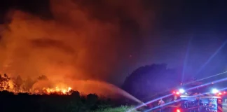 Incêndio no Parque da Serra do Tabuleiro no Natal queimou 200 hectares