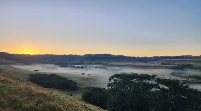 Serra catarinense tem as primeiras grandes geadas do ano