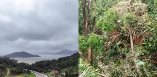 Impacto da chuva na terra indígena Morro dos Cavalos, em Palhoça