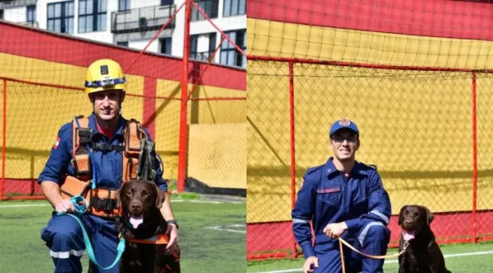 Buscas no RS são reforçadas com binômios dos Bombeiros catarinenses