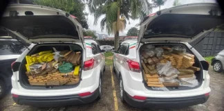 Polícia segue carro e encontra esconderijo de maconha no norte da ilha