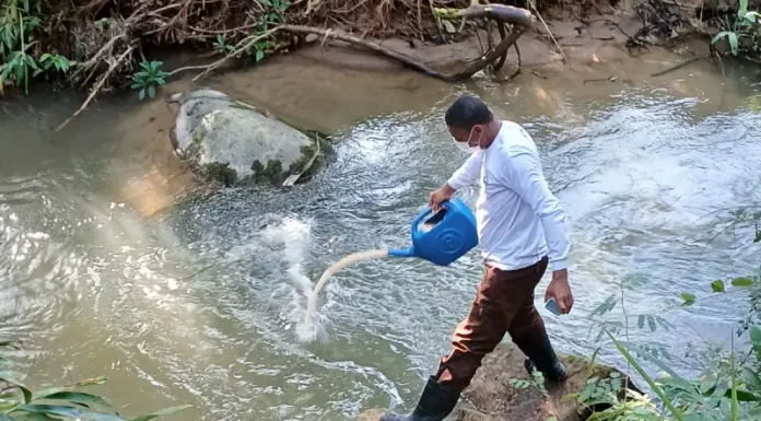 Inseticida é despejado nos rios de São José