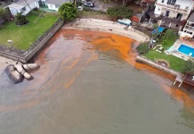 Maré vermelha afeta baía sul da Grande Florianópolis