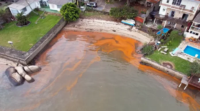 Maré vermelha afeta baía sul da Grande Florianópolis