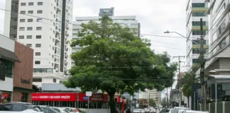 Rua Koesa, no Kobrasol, será interditada para obras e reverte Brasilpinho