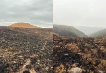 Incêndios no Parque Nacional de São Joaquim, na serra catarinense