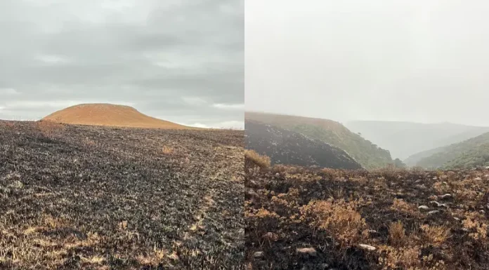 Incêndios no Parque Nacional de São Joaquim, na serra catarinense