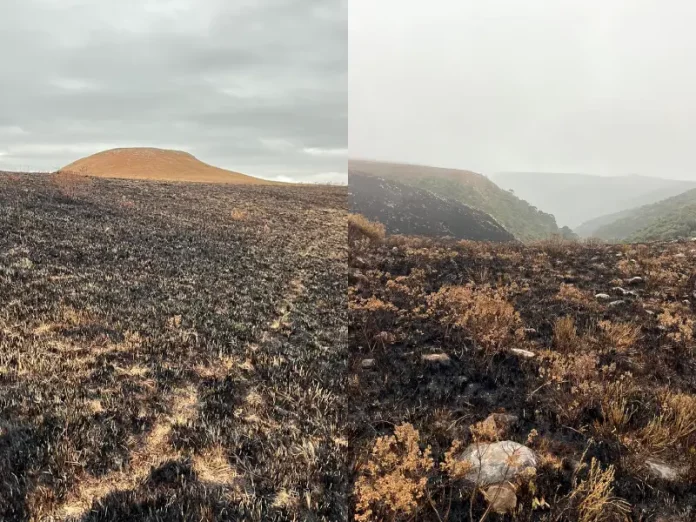 Incêndios no Parque Nacional de São Joaquim, na serra catarinense